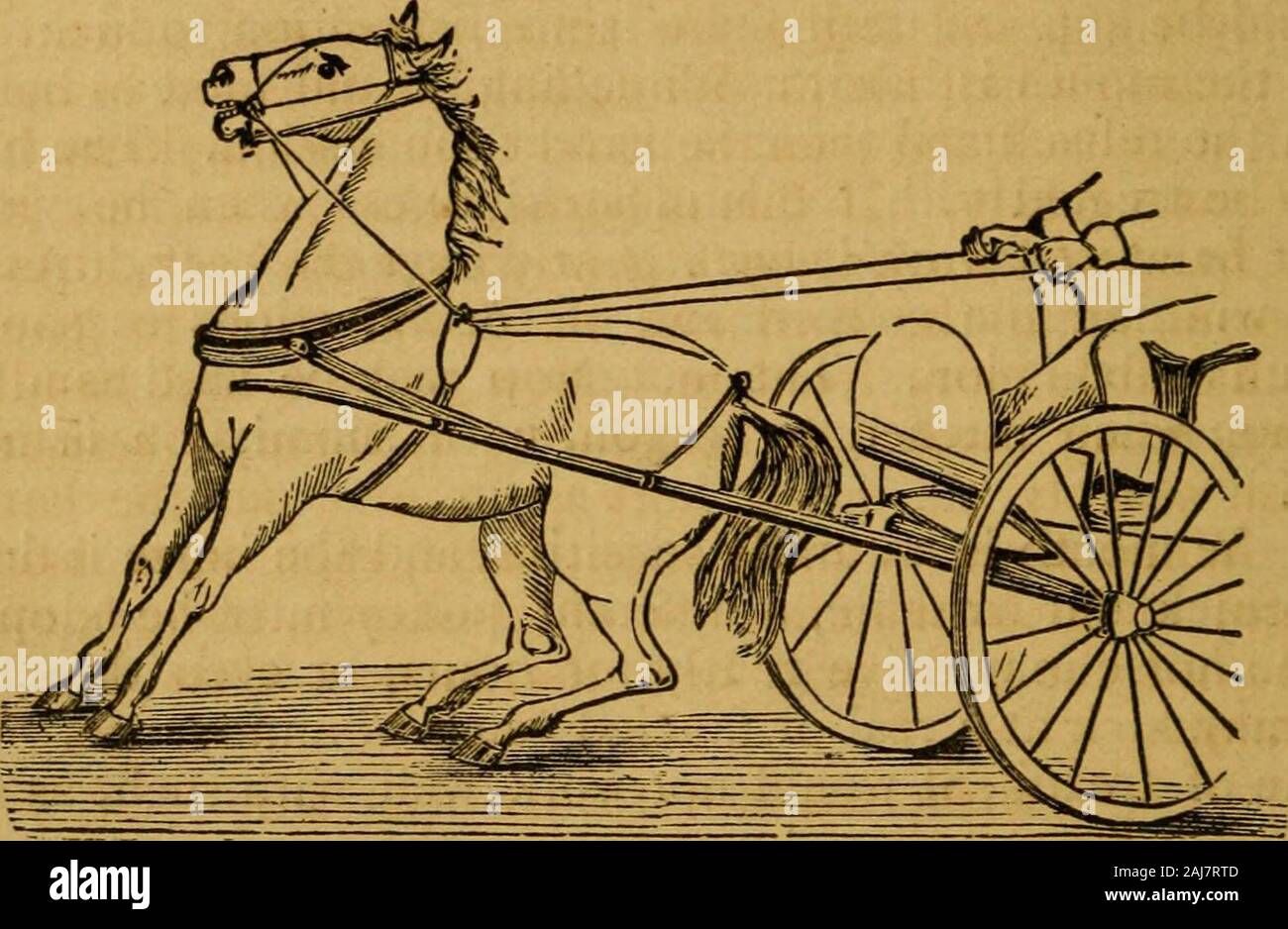Das neue System der Erziehung der Pferde, einschließlich Anweisungen für die Fütterung, Tränken, Einstallung, Schneeschuhwandern, etc. Mit der praktischen Behandlung für Krankheiten. s: Eine kleine Stahl Spitze erhalten und es hängen lose über der drivingbit im Zaum halten. Die Zügel auf den Kopf gestellt Jetzt provideyourself mit feiner, starkes Stück Hanf oder Baumwolle cord, über drei Achtel Zoll im Durchmesser, und Sechzehn feetin Länge. Dass bei Baumärkten für hängende Win- dows, tun wird. Das Zentrum dieses Netzkabel wieder an den Ohren, führen Sie die Enden durch die Ringe des kleinen Bit andthrough der Gag Läufer, die Clos werden sollten Stockfoto