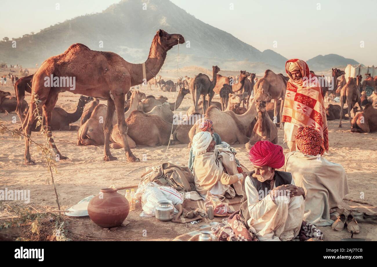 Pushkar, Indien - 19.November 2015. Kamel Händler Lager mit ihren Herden auf der jährlichen Pushkar Camel Fair in Rajasthan, Indien. Stockfoto