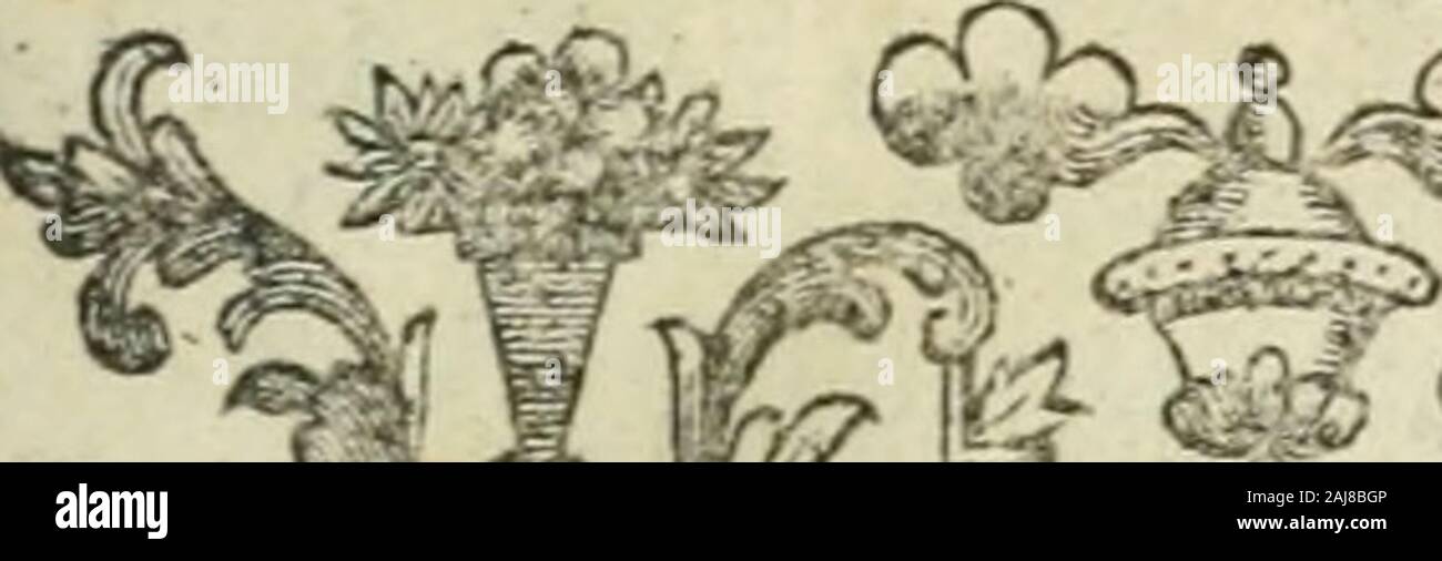 Le Pelikan Stockfotos Und Bilder Kaufen Alamy