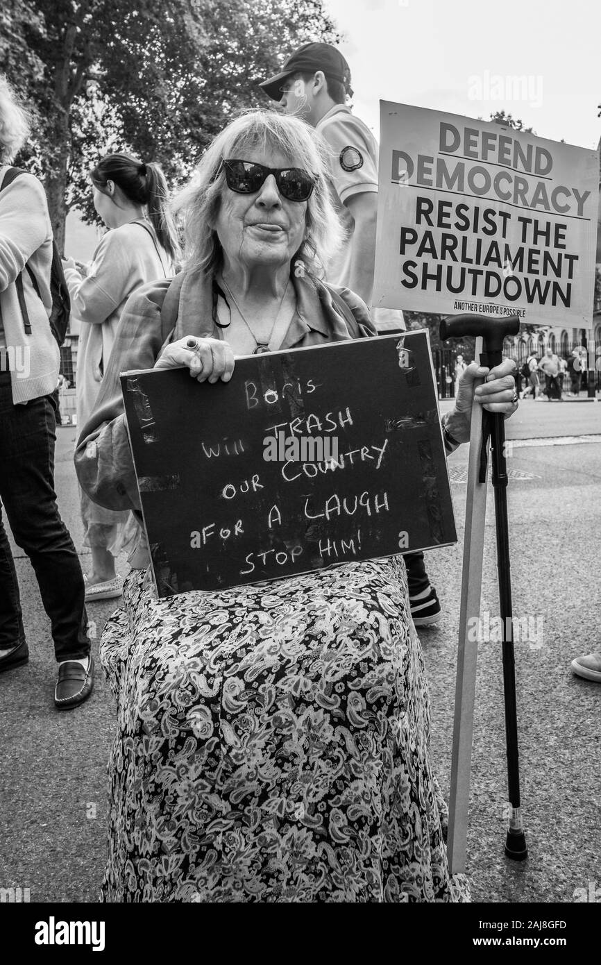 Anti-Brexit protest London Stockfoto