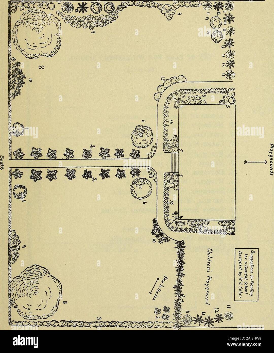 Gestaltung und Verbesserung der Schule. Schlüssel DER PLAN FÜR EINE SCHULE IN DER NÄHE DER KÜSTE (13) (1). Amerikanische Olive, Osmanthus americanus. 2. Palmetto, Sabal Palmetto. 3. Yopon, Ilex vomitoria. 4. Spanisch Bajonett, Yucca gloriosa. 5. Wachs Myrte, Myrica Cerifera. 6. Magnolia Magnolia grandiflora. 7. Cherokee Eose Hedge auf Zaun, Rosa laevigata. 8. Live Oak, Quercus virginiana. 9. Oleander, Nerium oleander. 10. Tamarix gallica. 11. Zeder, Jwniperus virginiana. 12. Kiefern, Pinus Taeda. 13. Yucca, Yucca aloifolia. 14. Hartriegel, Cornus Florida. 15. Tee, Camellia Thea. 16. Lupine, Lwpinus perennis.. Schlüssel Stockfoto