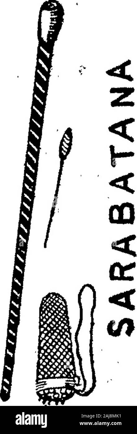 Boletín Oficial de la República Argentina 1910 1 ra sección. Rnet. - Artículos de las clases 3, 10. 18, 20,25, 26, 38. 39, 48, 49, 50, 53, 54, 55, 58; 59, 60, 72, 75, 78 y 79. ; I, V-25 febrero. Acta Nr. 28.857 O*. - Artículos de las ciases 1 á 79, lechería y hielo, Clase 80. v-25 febrero. Acta Nr. 28.871 El Traductor 18 de Febrero 1910. - JOSE ANTONIO AMU-chastegui. - Artículos de la Clase 72. v-25 febrero. Acta Nr. 28.807 "ELEKTR 0GL 0 CKENSTAHL" 14 de Febrero 1910. - Stahlwerke reichen, Lindenberg Aktiegesellschaft. - Artículosde las clases 8 y 16 á 42. v-24 febrero. Acta Nr. 28.856. Febrero 18 de 1. Stockfoto