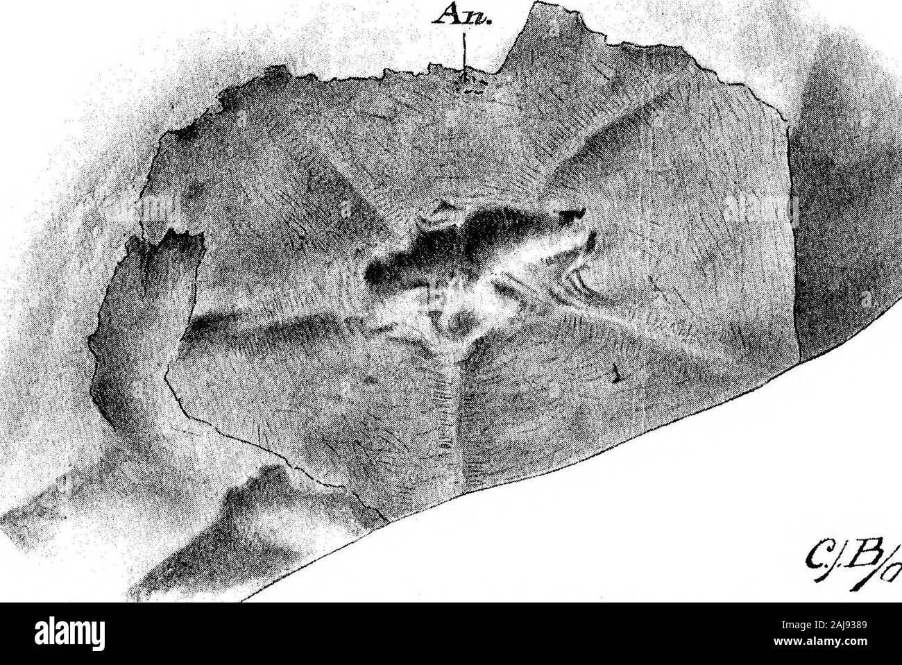 Über die Struktur und die Affinitäten der Paleodiscus und Agelacrinus. nntniss der Eossilen Eauna des Devonischen Gebirges am Rhein. Yerh. d. Natur. Hist. Yer. w. Rheinlande und Westfalen, Bd. 8, S. 372. 18. Salter. 1857. (Auf einige Neue paläozoikum Seesternen.) Ann. Mag. Nat. Hist., ser. 2, Bd. 20. 19. Schmidt, E. von. 1874. Ueber 100 neue und wenig bekannte Baltisch-Silurische Petrefacten. Mem. Acad. Imp. Sci., St. Petersburg (7), Vol. 21, S. 34 und 35. 20. Sollas, W. J., 1889. Auf Silur Echmoidea und Ophiuroidea. Quart. Journ. Geol., Soc., Bd. 45, 1889, S. 692 - 715.1903. Phil. Trans., Seri Stockfoto