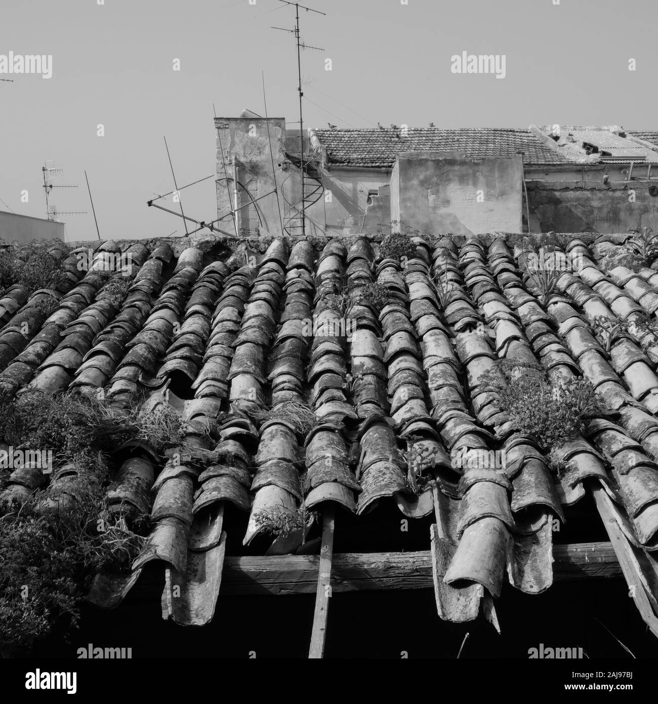 Dach Tonziegel auf alten Wohnhäusern in Sciacca, Sizilien, Italien. Stockfoto