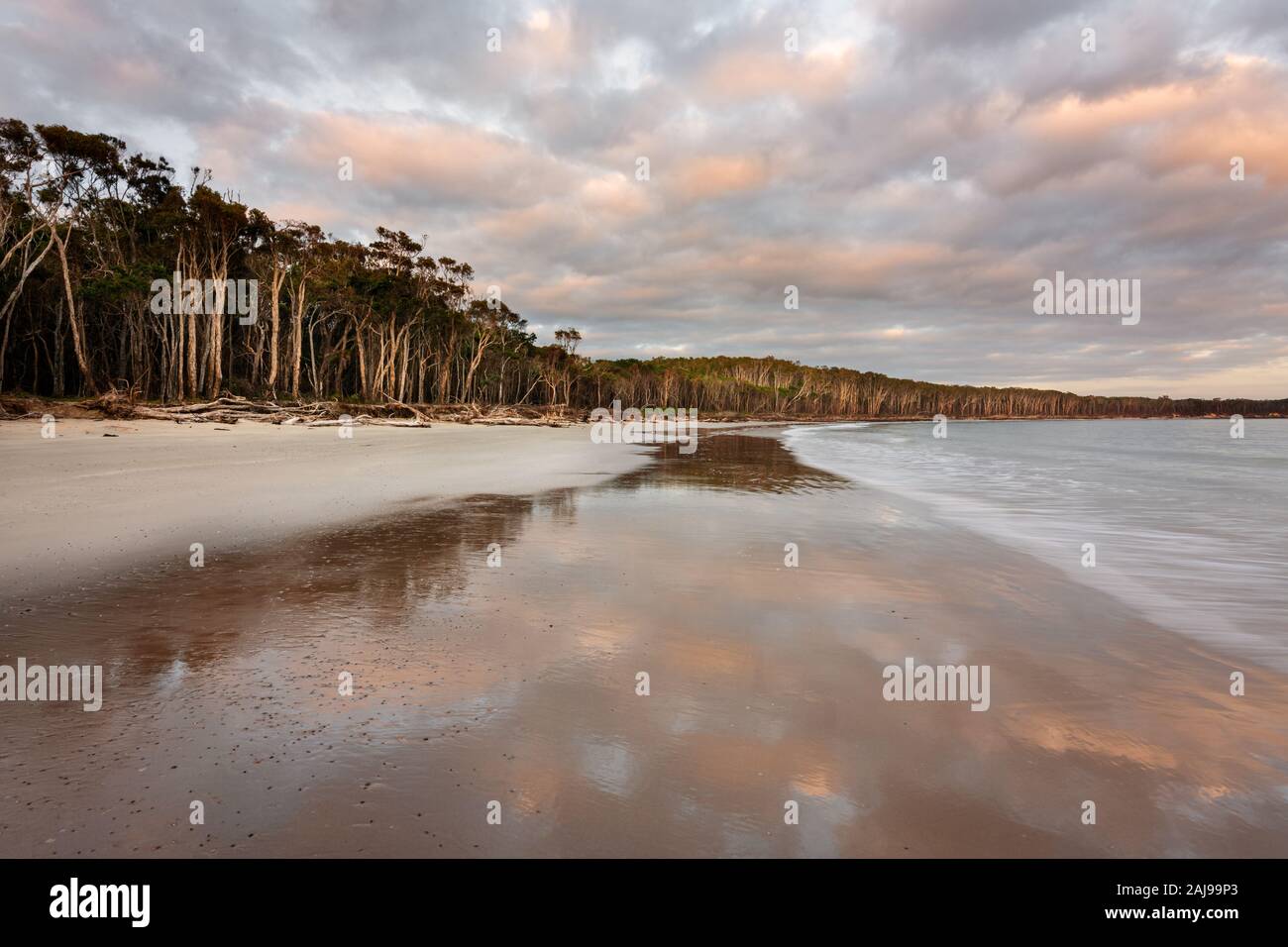 Morgen Reflexionen auf Woody Strand im bundjalung National Park. Stockfoto