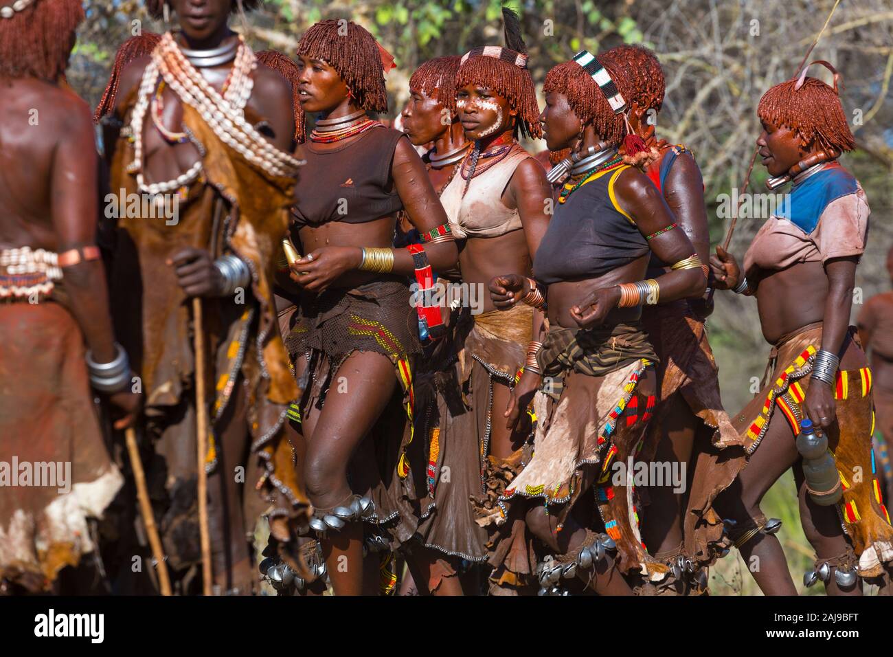 Hamer, Omo Valley, Naciones, Äthiopien, Afrika Stockfoto