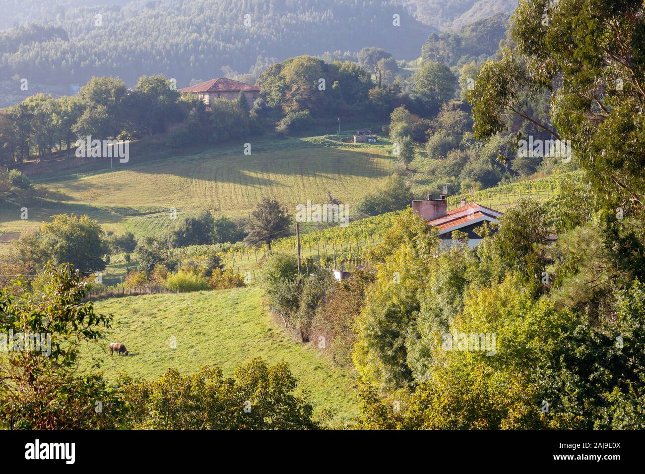 Typisches Haus in den Hügeln im Baskenland Stockfoto