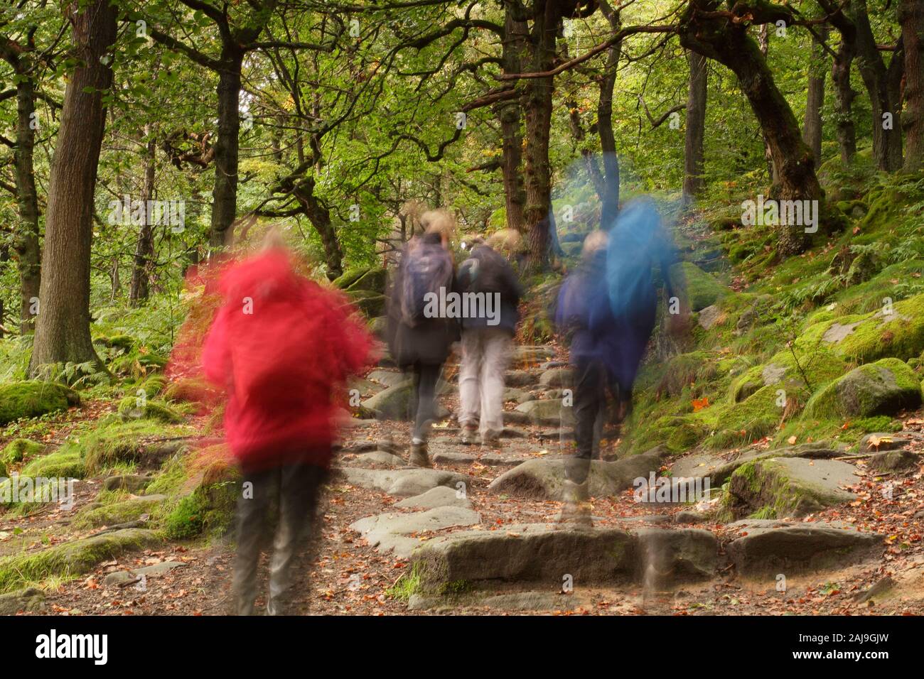 Wanderer in Padley Schlucht, einem beliebten Tal in Derbyshire Peak District National Park, in der Nähe von Sheffield, England im Herbst. Großbritannien Stockfoto