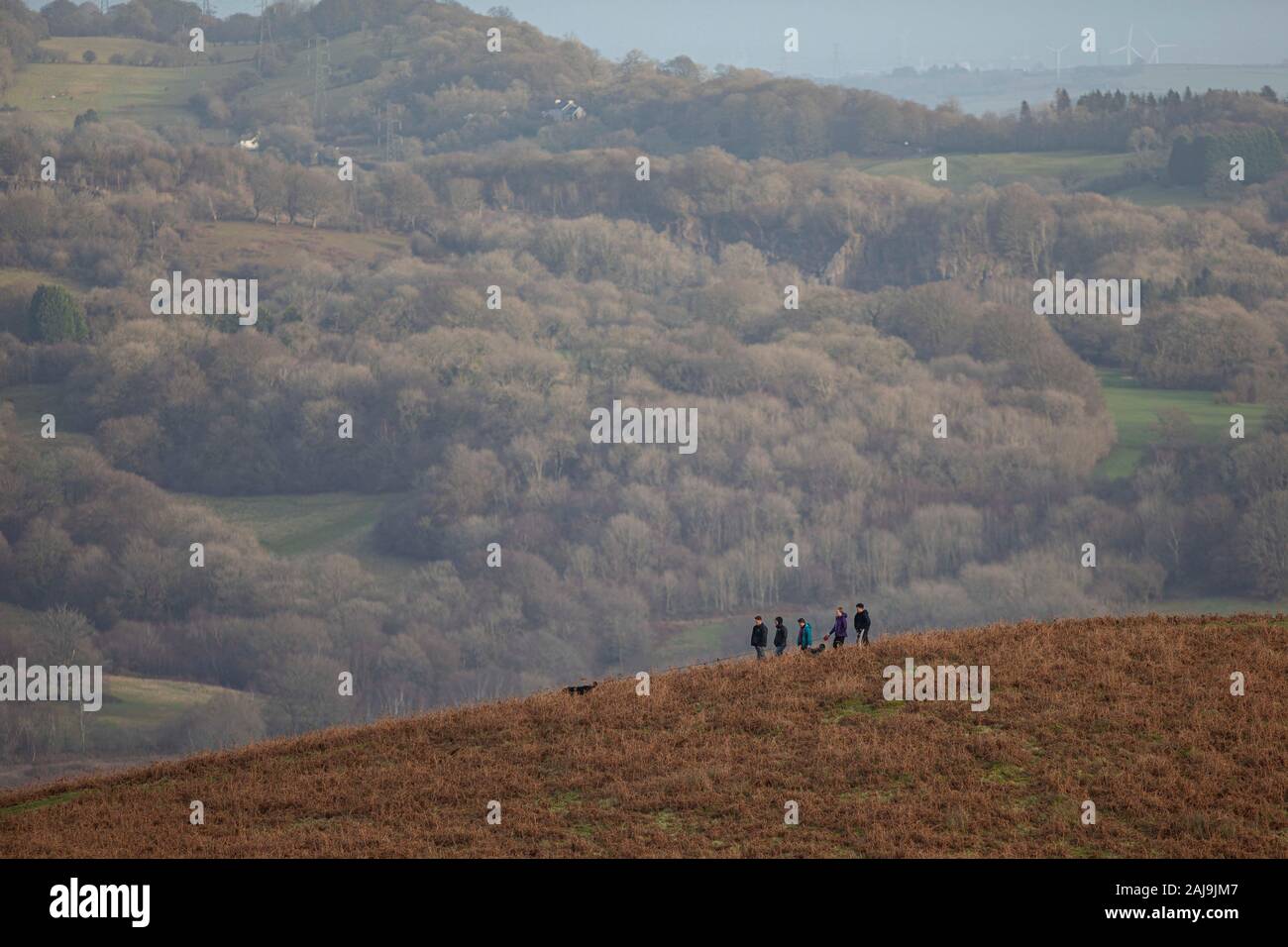 Fünf Leute einen Hund auf der Stirn von Garth Hill in der Nähe von Cardiff, mit Wäldern im Hintergrund. Stockfoto