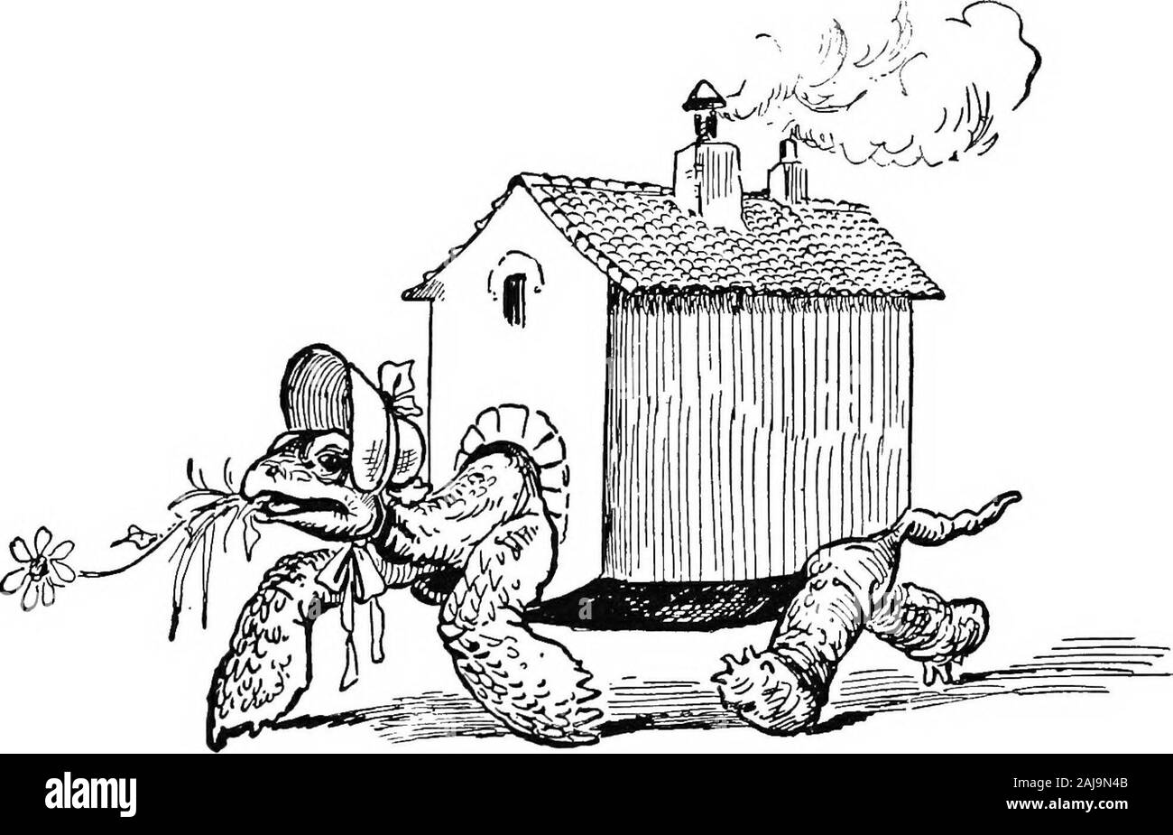 Die lockigen Haaren Henne. Nahe zur Hand ist eine Sammlung von Säugetieren, die kangaroofamily. Das Känguru ist das größte Säugetier von Australien. Es ist im Allgemeinen eine friedliebende Tier, aber Bisse, Kratzer, andclaws Wenn er gehänselt wird. Die beste Verteidigung ist jedoch die Flucht. AUthese technische Details links die gute Frau kalt. Was sheremembered Besten wurden die praktischen Qualitäten der Kreaturen. Das Känguru hat eine sehr große Besonderheit, das Weibchen hat apouch, eine Art Tasche, in der Sie junge versteckt wenn dangerappears, wie der Soldat hat seinen Rucksack. 80 DIE C U E L Y-H AUSGESTRAHLT HENNE. Zum ersten Mal in h Stockfoto