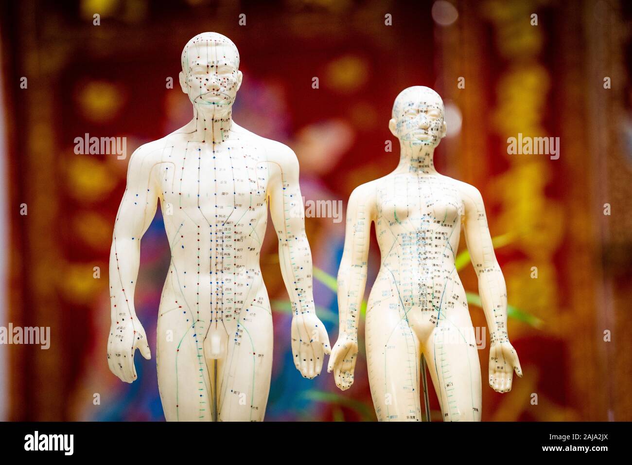 Chinesische Medizin auf der Höhe st-Akupunktur. Stockfoto