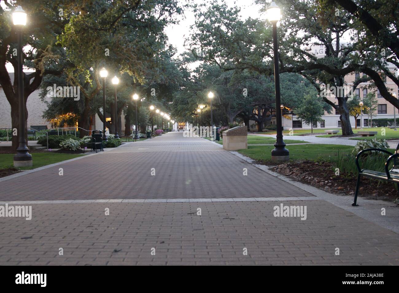 Militärische Spaziergang - ein Texas A&M Tradition; Texas A&M Universität, College Station, Texas, USA Stockfoto