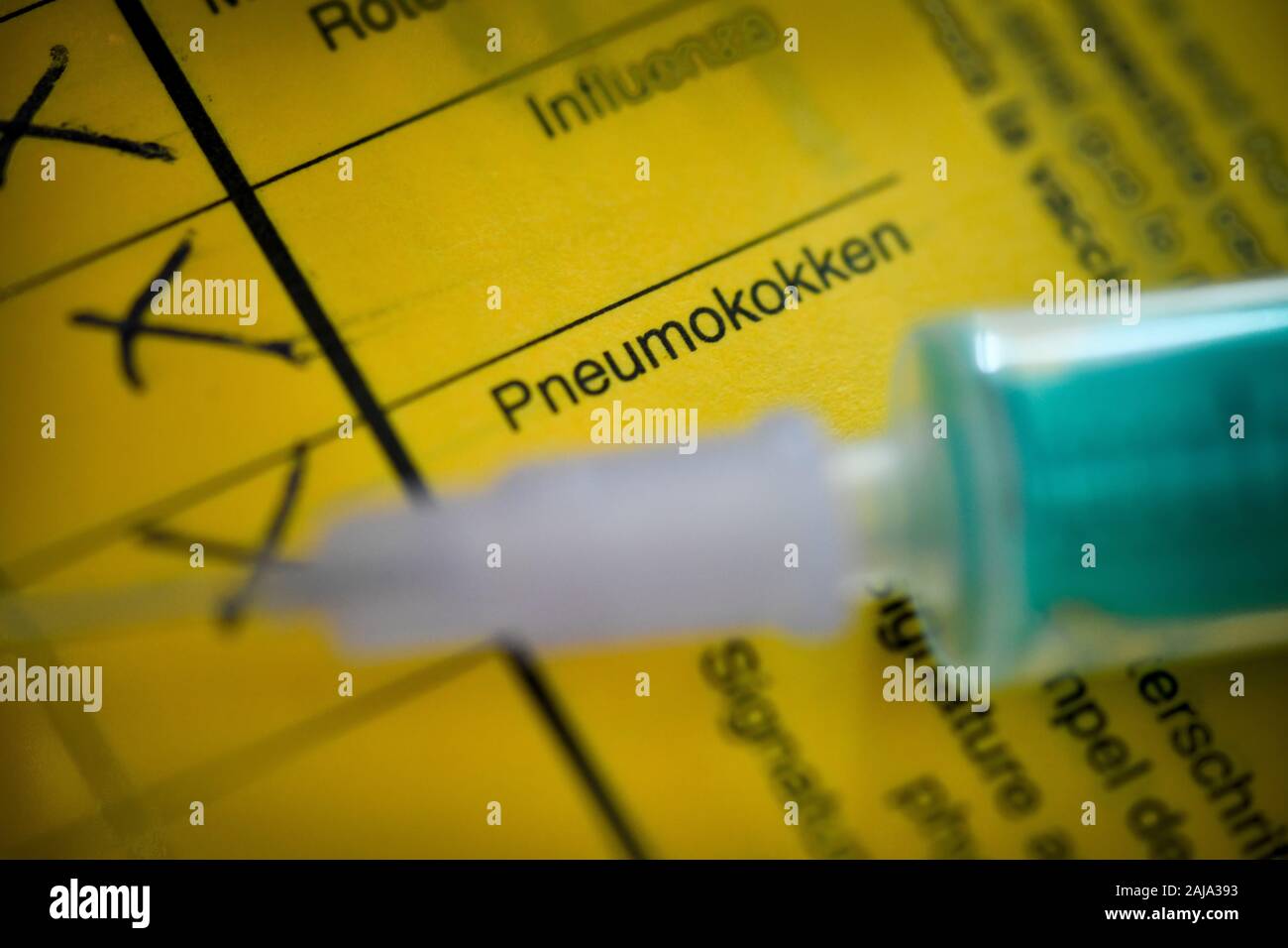 Pneumokokken, Impfbuch, Symbolfoto Impfung Stockfoto