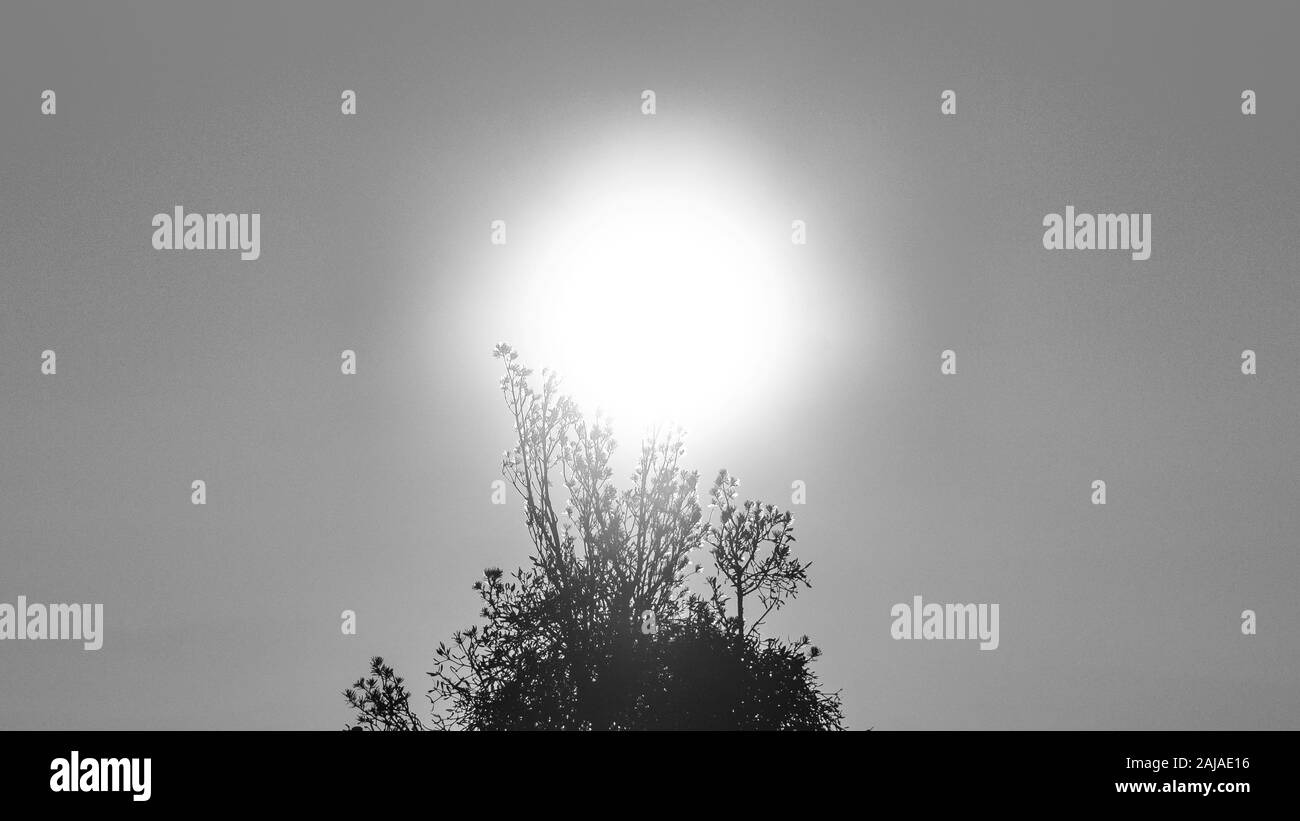 Blick von der Capska Palice in der Tschechischen Republik Stockfoto