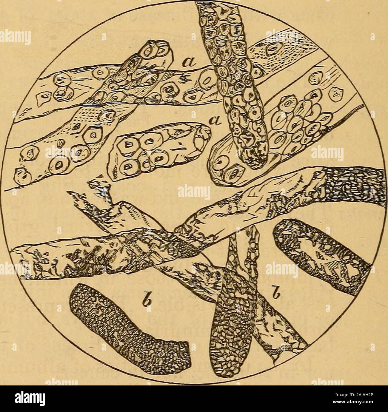 U oz qolini butun yolda itarib yubordi HD porno massajni onlayn tomosha qiling