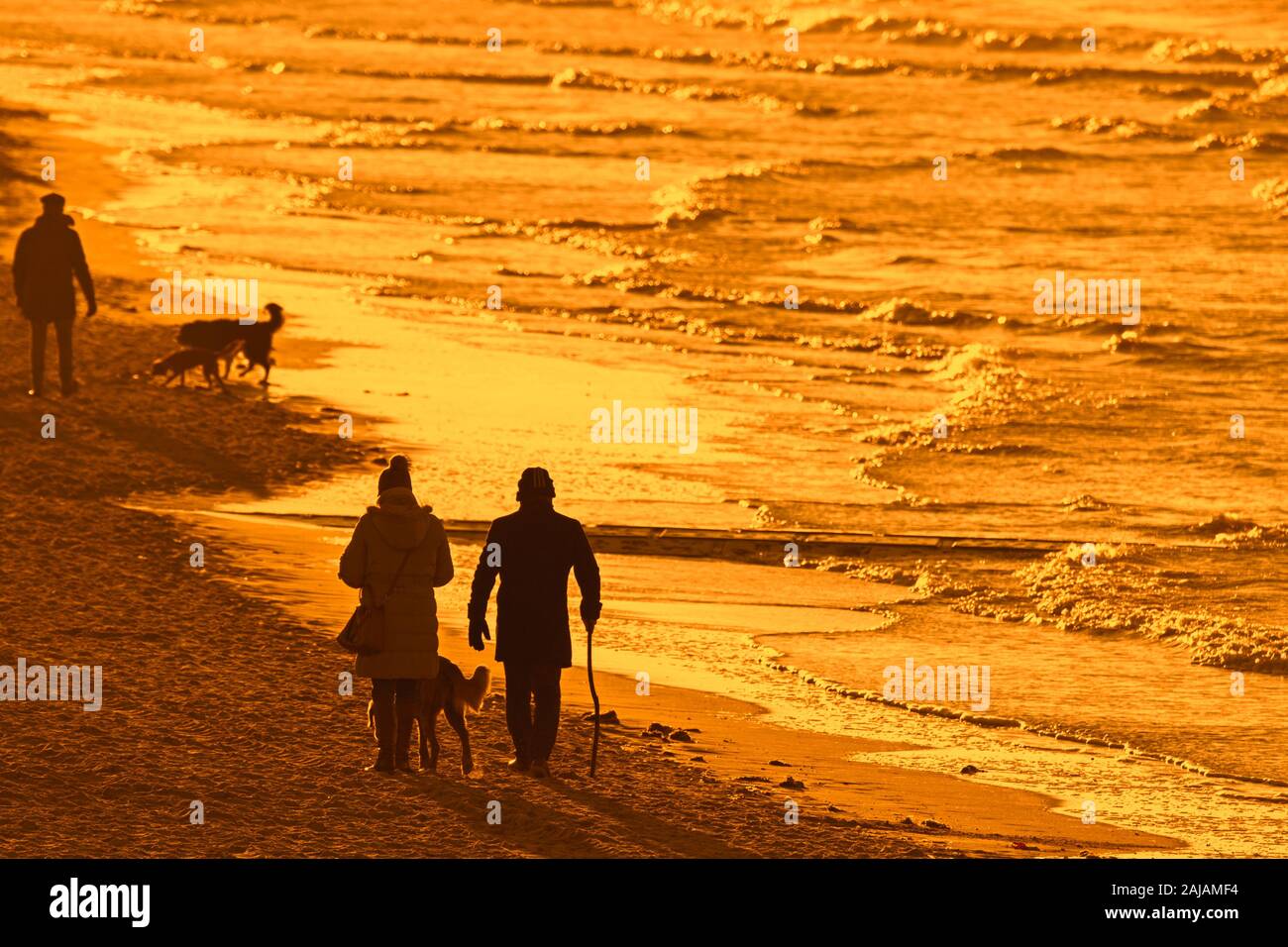 Hundebesitzer zu Fuß entlang der Küste mit freilaufenden Hunden auf sandigen Strand bei Sonnenuntergang an einem kalten Abend im Winter Stockfoto