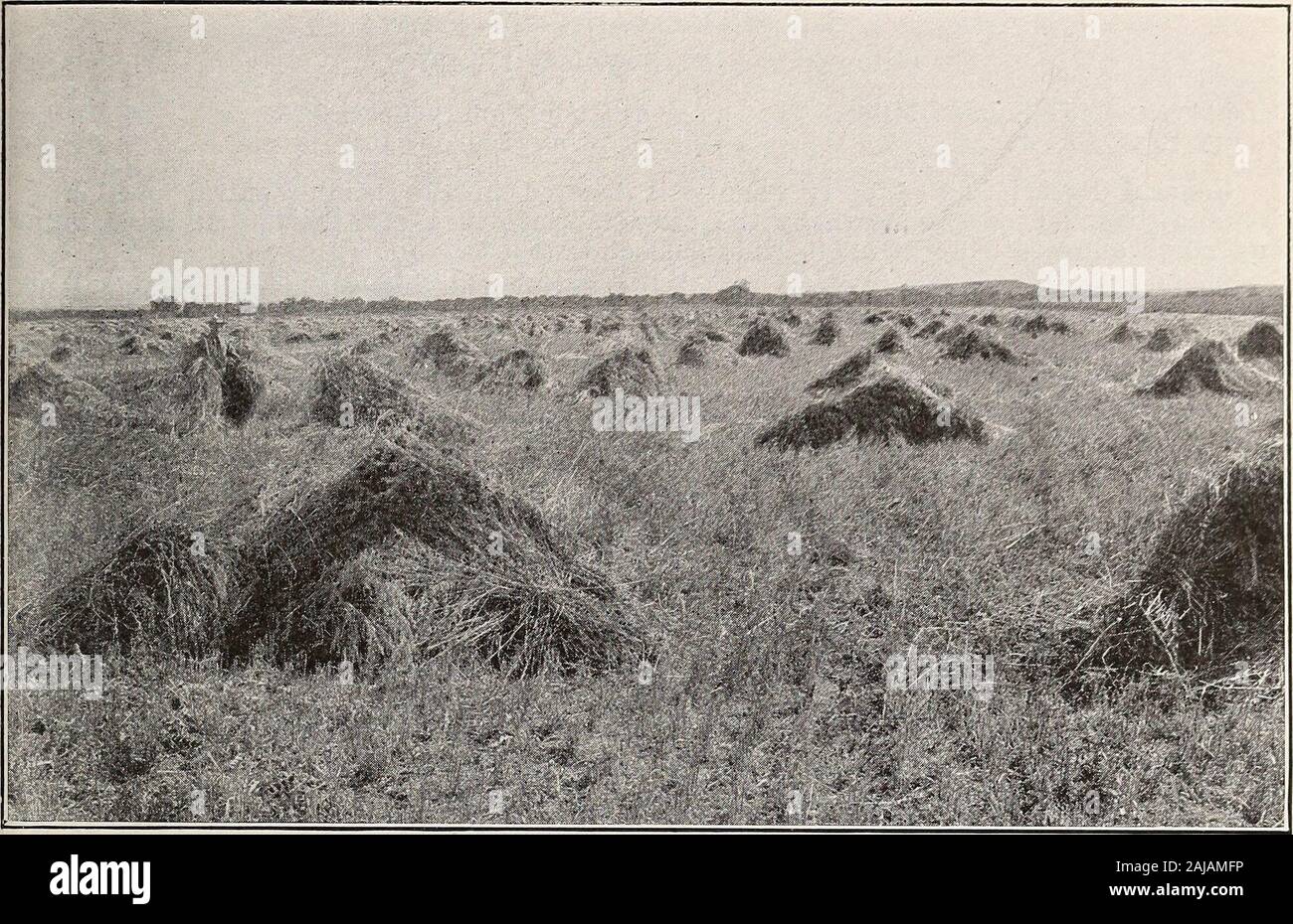 Ressourcen von Montana. d auf dem Missouri River, aber nicht anderweitig gewerblich entwickelt worden. Schnittholz - viel Holz der kommerziellen Wert ist in der Grafschaft fand, aber loggingoperations haben noch nie auf einer großen Skala durchgeführt. Es gibt 49.000 Hektar Flathead National Forest in der Grafschaft ofthe, 243,418 Hektar des Helena nationalen Für - est, 422,152 Hektar der Lewis und Clark National Forest, und 162,905 Hektar theMissoula National Forest. Grundstückswerte bewässerte Land variieren im Preis von $ 75 bis $ 200 ein Morgen, nicht-irrigatedfarming Land von $ 15 bis $ 50 ein Morgen, und Weideflächen von $ 7 bis $ 12 ein Morgen. T Stockfoto