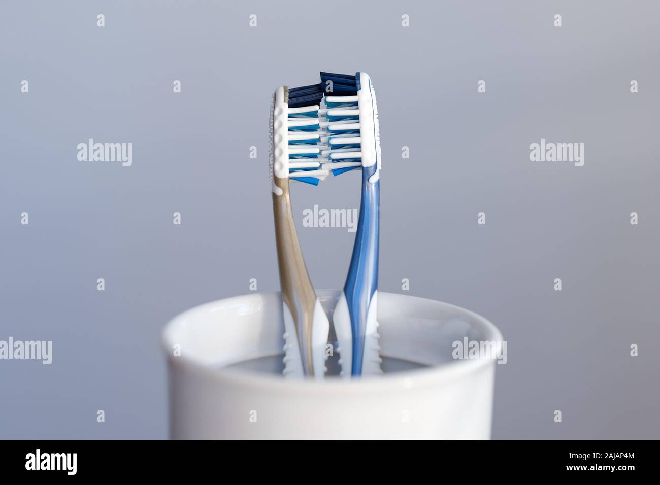 In zwei Kunststoff Zahnbürsten Zahnbürste Schale küssen auf grauem Hintergrund für ein paar in der Liebe. Zahnpflege, romantische Beziehungen und Liebe Konzept Stockfoto