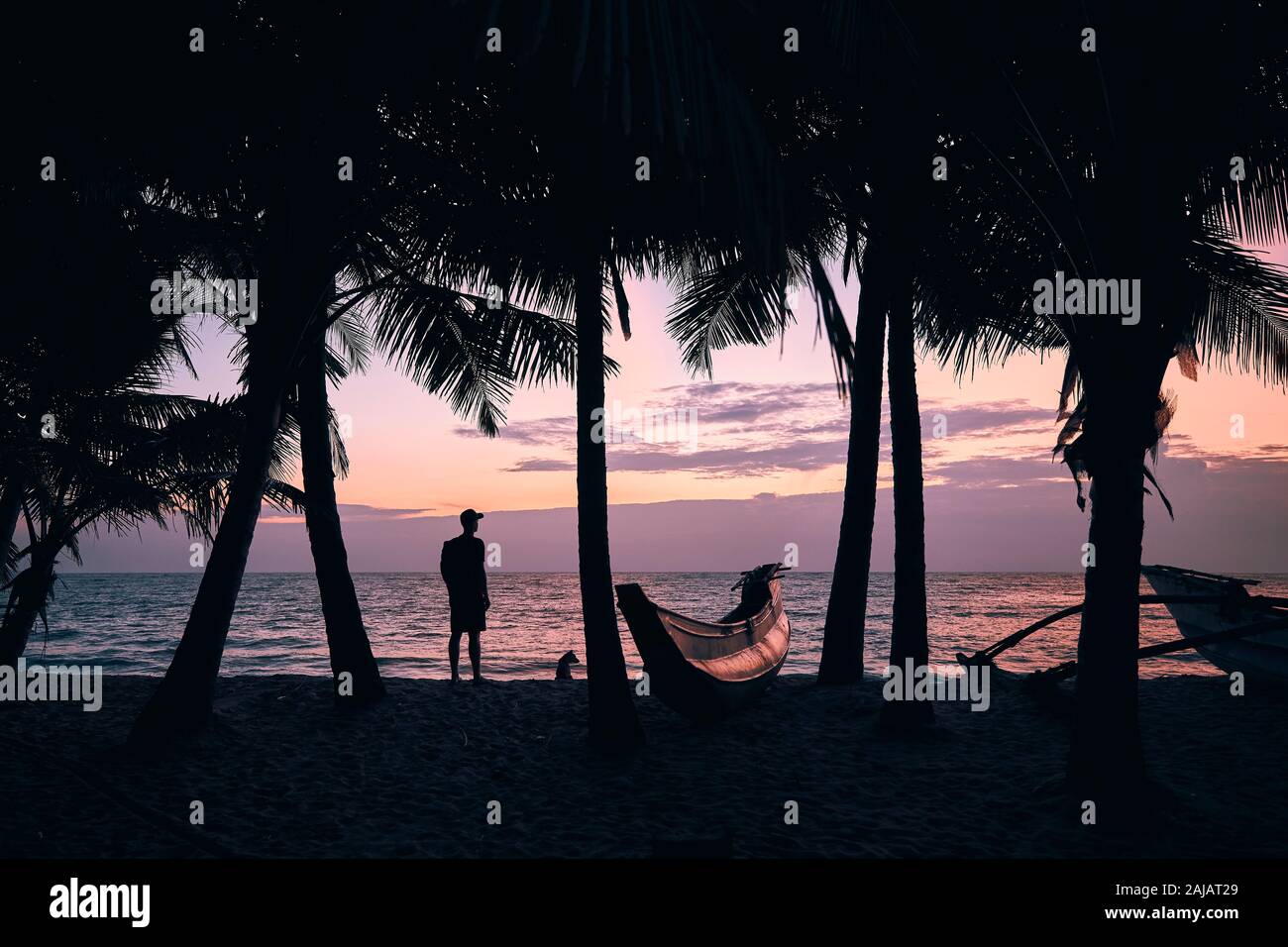 Silhouette von jungen Mann mit Hund unter Palmen. Reisende stehen auf Strand und Meer bei Bunte sunrise. Sri Lanka Stockfoto