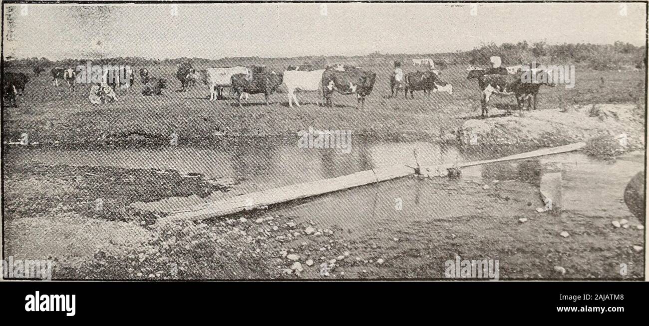 Ressourcen von Montana., Aufzug, von der letzten Legislaturperiode genehmigt, sollte ein Anstoß zum Fräsen Industrie beweisen. Günstige Strom- und ausgezeichnete verteilen Vorteile gegenüber einem Feld anwählen,in dem es gibt wenig Wettbewerb aufgrund der großen Entfernungen zu anderen Zentren zu verteilen, sollte große Fälle ein Produktionszentrum für landwirtschaftliche Geräte, Garn, Essen, Stacheldraht, Kleidung und andere Dinge, die von den Landwirten auf dem agriculturalempire von 5.000.000 Hektar in der Freihandelszone der großen Fälle und den gesamten Mittleren Westen. Die Wohnsituation ist schon lange ein Problem in den großen Fällen, Gi Stockfoto