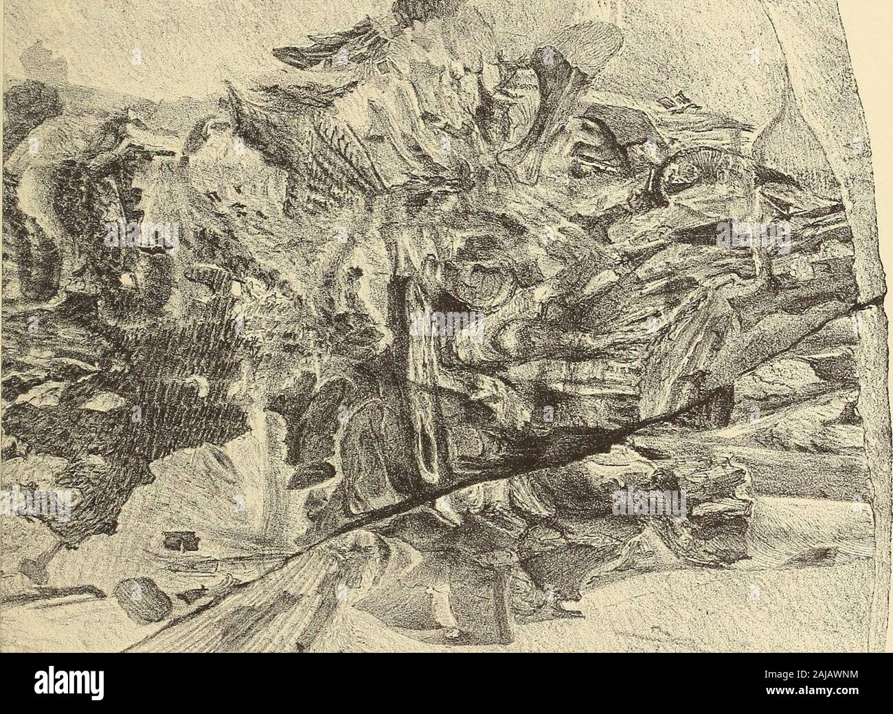 Monographie der Paleontographical Gesellschaft. : Ich habe die Platte XXIII. Abb. I. Pygopterus mandibularis, Agassiz. a. Außerhalb der Skala vergrößert; b, unter der Oberfläche von dito. Museum der Yorkshire Philosophische Gesellschaft.ri.xm ^. Stockfoto