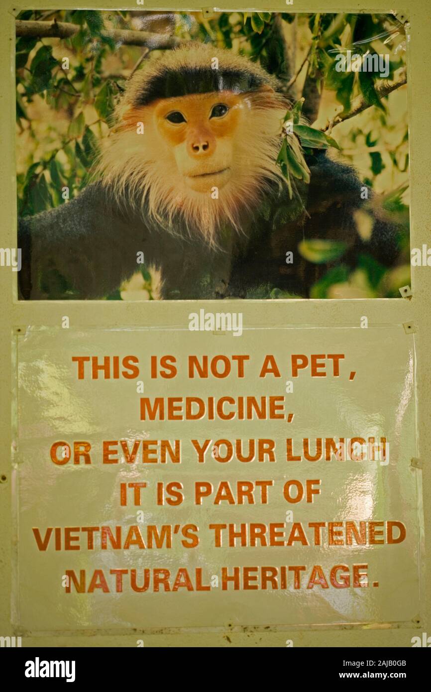 ENDANGERD PRIMAS Poster am Eingang zu den Cuc Phuong Nationalpark gefährdet Primate Rescue Center, Vietnam. Stockfoto