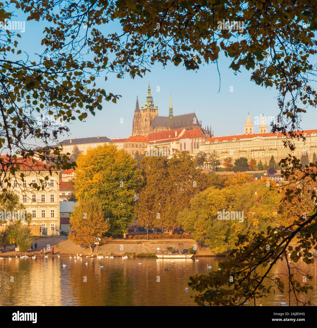 Prag, tschechische Republik - 11. Oktober 2018: Die Burg und die Kathedrale von der Moldau und im Herbst Blätter. Stockfoto