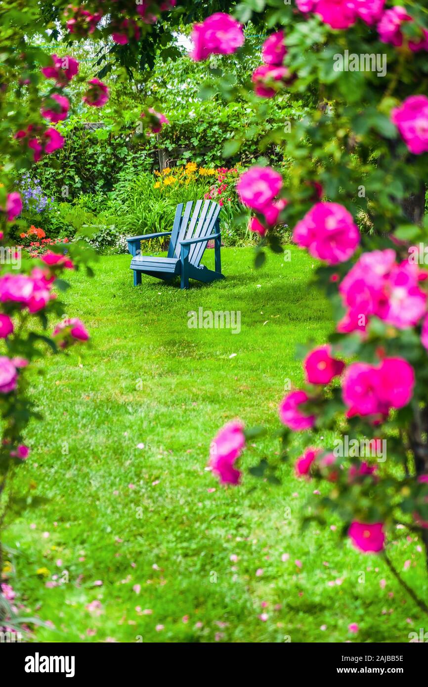 Ein rasen Stuhl auf dem Rasen in einem Rosengarten. Stockfoto
