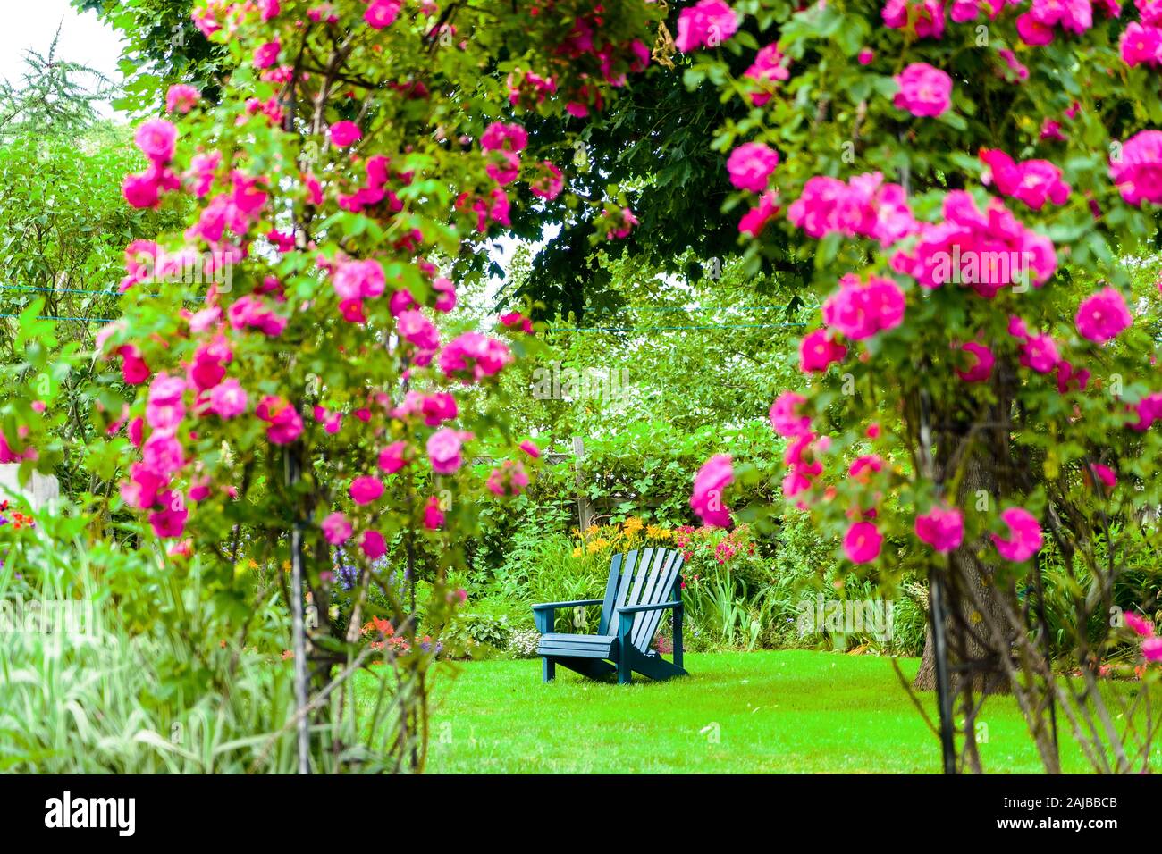 Ein rasen Stuhl auf dem Rasen in einem Rosengarten. Stockfoto