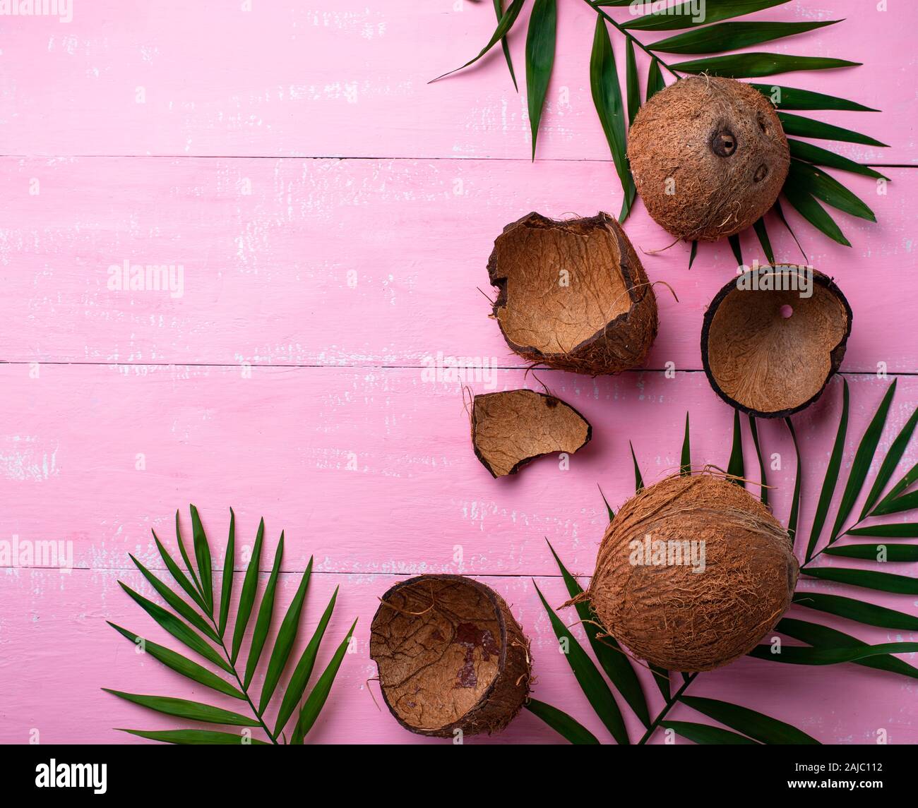 Kokosnüsse und Palmblättern auf Rosa Stockfoto