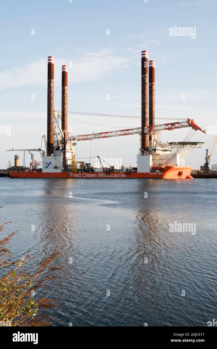 Brave Tern, ein schweres Heben oder Jack Schiffs von Fred Olsen Windcarrier im Hafen von Sunderland, England, Großbritannien Besitz Stockfoto