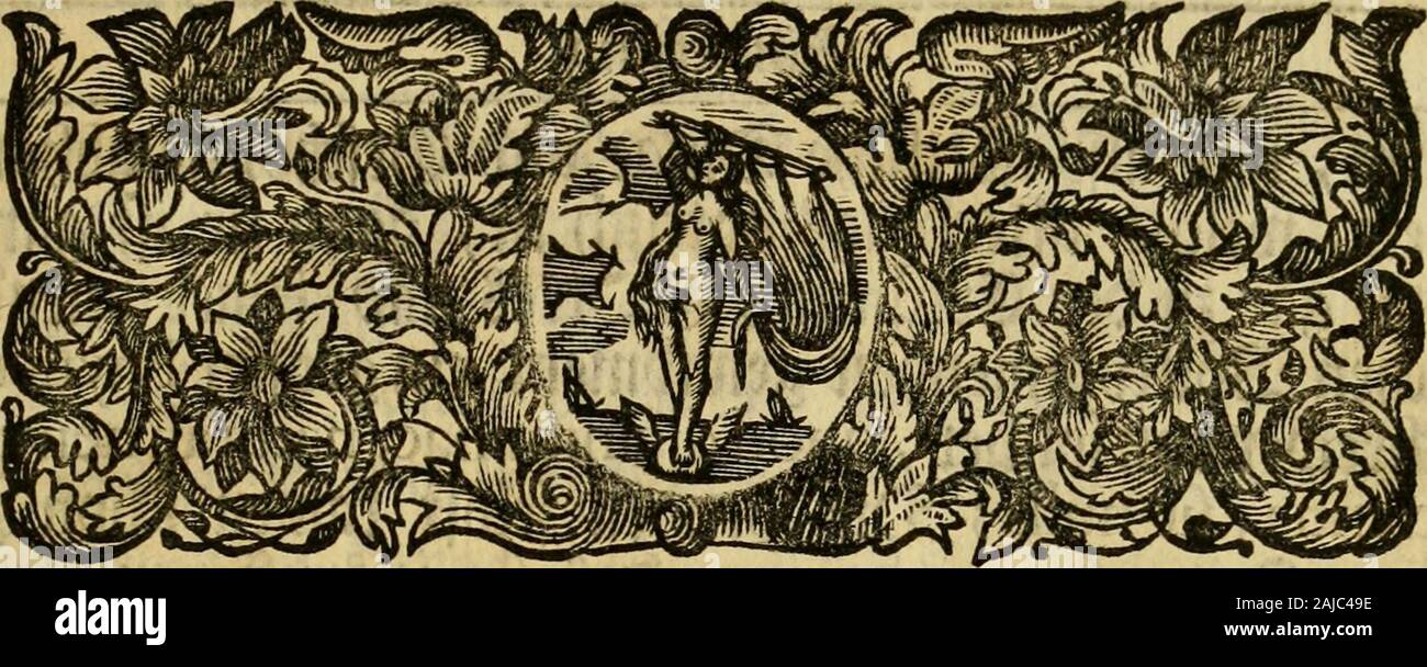 Thesaurus subterraneus Brunsvigii ducatus id est Braunschweig mit-Schzen unterirrdischen und Seltenheiten der Natur. flc^ orfamftcr Diener. F. E. Brückmann.e". Stockfoto