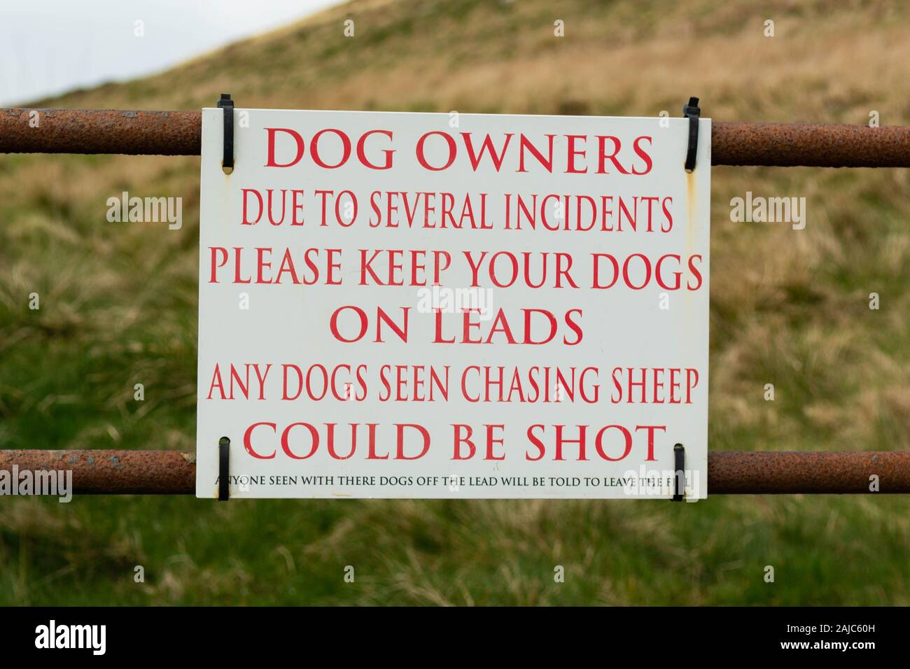 Schreibweise Ihrer dort auf Zeichen über Schafe sorgen, Großbritannien Stockfoto