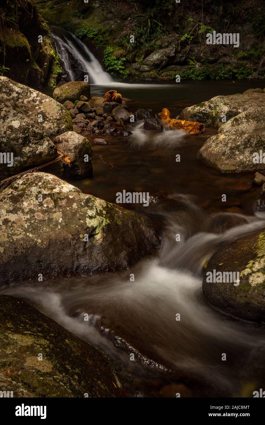 Ein Strom durch Lamington National Park im Südosten von Queensland, Australien. Stockfoto