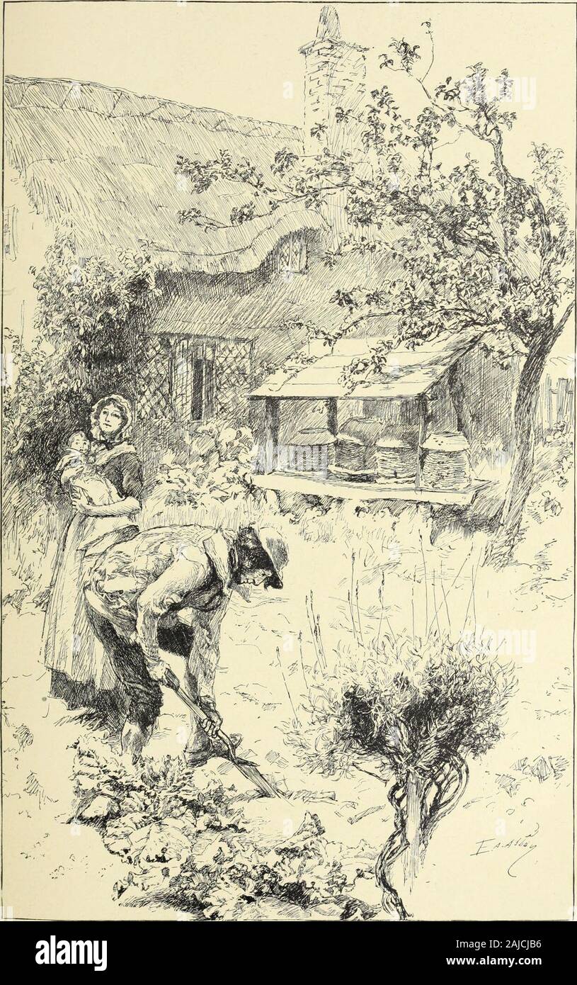 Harper's neue monatliche Zeitschrift Band 104 Dezember 1901 bis Mai 1902. Weit, weit weg deine Kinder verlassen das Land. Kranke Flugpreise im Lande, zu beschleunigen. Übel ein Raub, wo Reichtum akkumuliert, und Männer decay: Fürsten und Herren blühen kann, oder fade - ein Atem, als ein Atemzug gemacht hat; aber eine mutige Bauernschaft, ihre Gebiete stolz, wenn er einmal zerstört ist, kann nie geliefert werden. Es war und ehe Englands Krankheit begann, WThen jeden Rood der Erde ihren Mann gepflegt: Für ihn Arbeit verbreiten ihre gesunden Store, nur gab, was das Leben erforderlich, gab aber keine mehr; seine besten Begleiter, Unschuld und Gesundheit, EIN Stockfoto