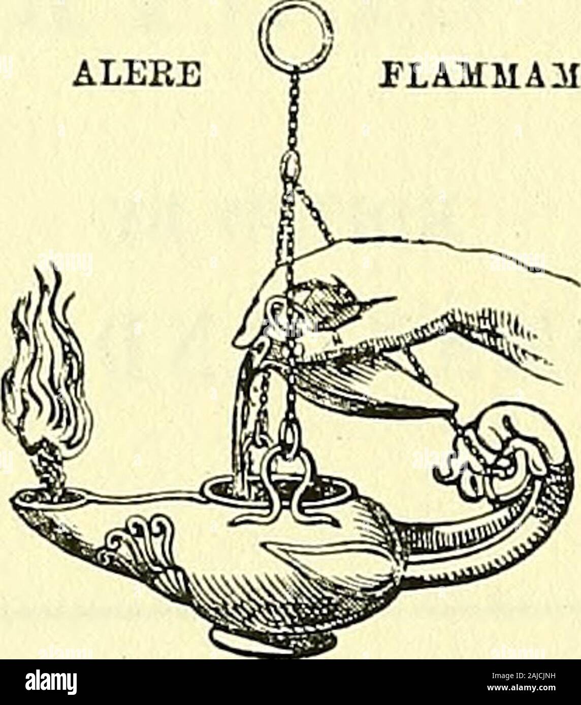 Biologia Centrali-Americana oder, Beiträge zur Kenntnis der Flora und Fauna von Mexiko und Mittelamerika. Gedruckt von Taylor & Francis, KED, LION, FLOTTE COUBT STIIEKT. f &Lt;i r H3 1 M&Inhalt. AKCHiEOLOGY. Bde. I.-IV (TEX-T.) Seiten Band I Vorwort iii-v Einführung 1-4 COPAN 5-69 Band II. • QUIRIGUA, 1-19 IXKUN. 21-22 23-25 25-27 RABINAL YAXCHfi CHACUJAL 28-30 UTATLAN und IXIMCHE30-38 GUATEMALA - MIXCO (Foundation-Mounds) ........ 38-39 MENCHE -. ? -. 49-47 Band III. CHICH^N ITZA, 1-43 TIKAL 44-50 Band IV. PALENQUE. • 1-33 Anhang. Die archaische MAYA INSCRIPTIO Stockfoto