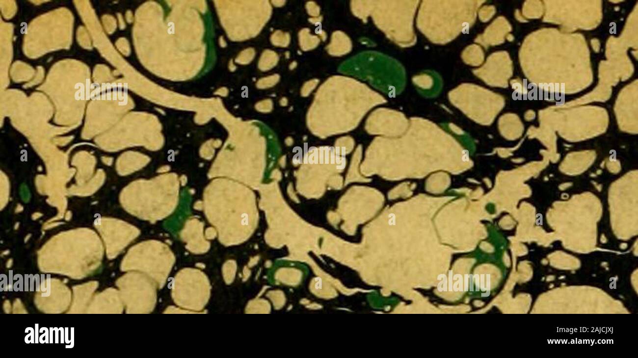 Die Geschichte Des Buchdrucks In Amerika: Mit Einer Biographie Von  Druckern, Und Ein Konto Der Zeitungen: Zu Denen Ist Ein Präziser Überblick  Über Die Entdeckung Und Die Fortschritte Der Technik In Anderen