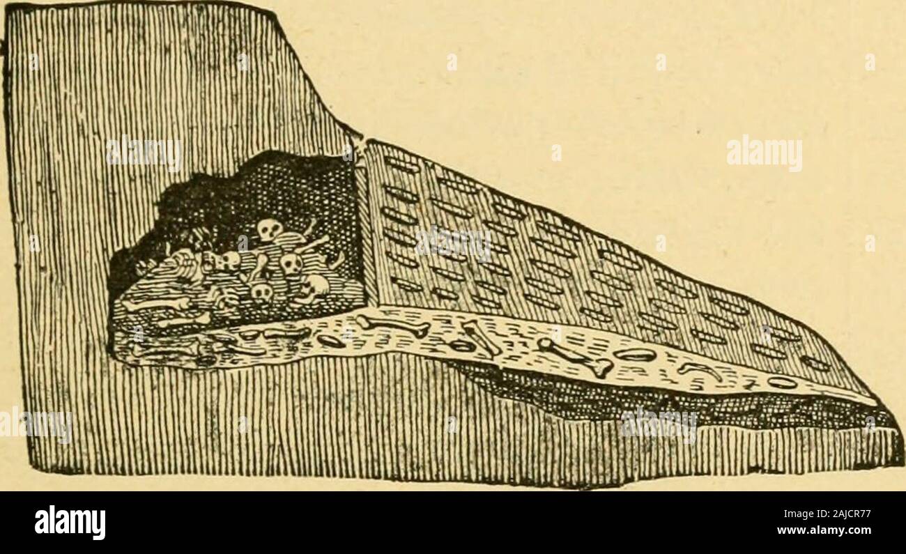Ridpath "Geschichte der Welt; wegen der ethnischen Herkunft, der primitiven Immobilien, frühen Migrationen, die sozialen Bedingungen und der Gegenwart versprechen der wichtigsten Familien der Männer. . E der Nichtexistenz der ourrace in einer Zeit, die so abgelegen, ist sufficientto die Wahrscheinlichkeit zerstören. Es ist, dann in der post-glacial oder dilu - vian, Alter, und in der früheren Teile gibt - 1 die dunkelsten Bereiche der Karte zeigen die Pres-ent-Bereiche der Eisfelder. In die theyfall. Einem dritten Platz günstig für thepreservation von Tier- und vegetableremains ist die Unterseite des situationslakes. Eine vierte ist die Col-KÜSSE? Stockfoto