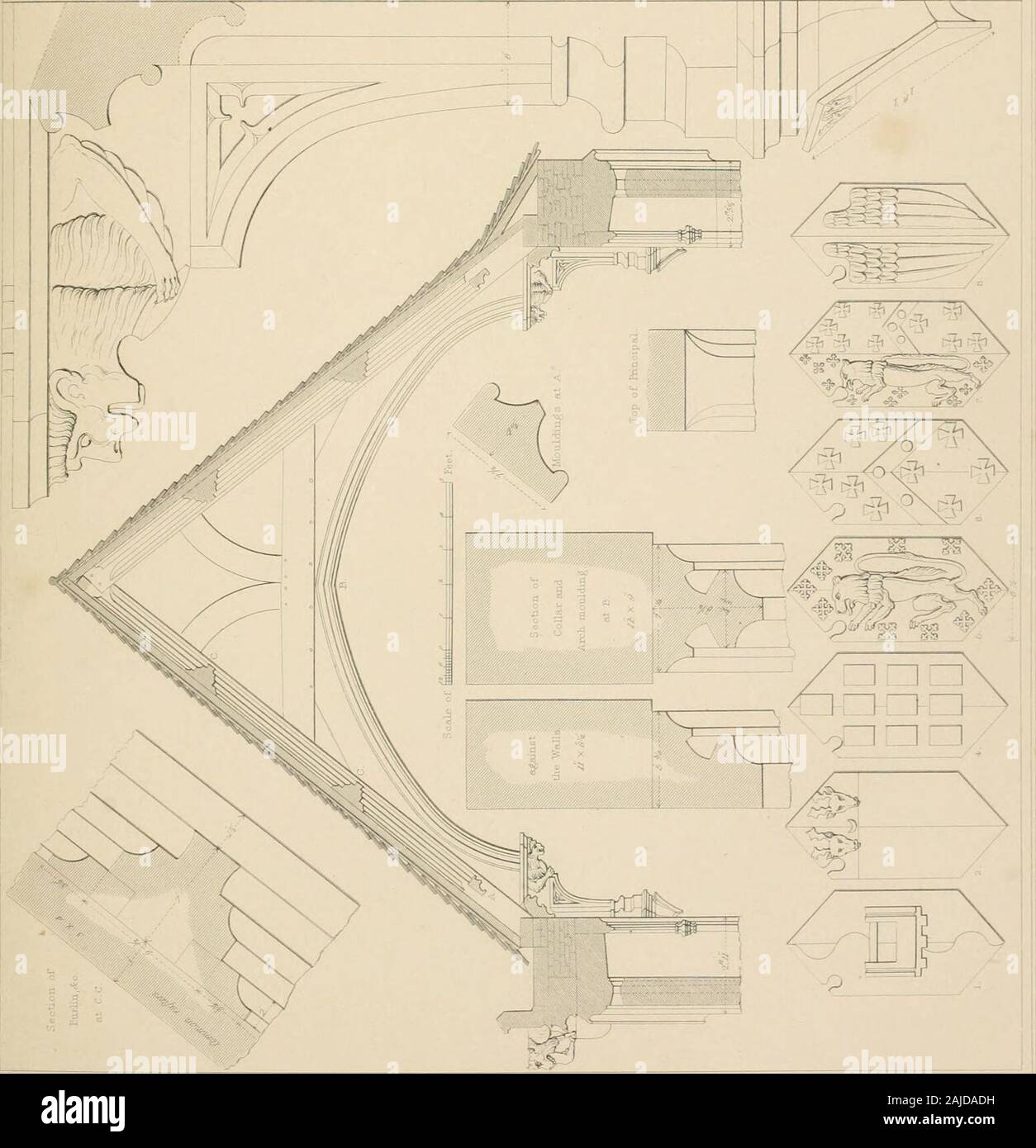 Beispiele der gotischen Architektur: Von verschiedenen antient Bauten in England ausgewählt, bestehend aus Pläne, Ansichten, Abschnitte und Teile.. von historischen und beschreibende Konten begleitet. uea. ; R? - S -. ArMefi skizziert - sichergestellt. Von Tho?L Vralker. Aroii Dra-wn bj J-Pnchard ,. K!&gt; I&gt; lANOK. EOBTSE, SOITTH WK. AXHALI.^ WILTS. -:-^. Sa &-NSS. Quertragwerk £ rseSatwn: D?^ K 3. Seaion, ofN. V. SCO/.-X TT. s^. ea..-,; ? -^- - er Thema Tho? L. Walker, Areh^*^.^ Ar^^^? : R"""" i c: -^^^. 7 i^o. Stockfoto