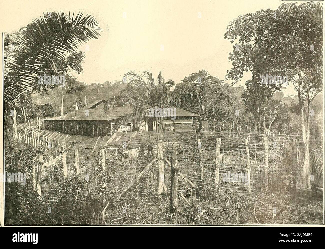 Panama und der Kanal in Bild und Prosa. . Einfriedung FÜR PETTY CANAL ZONE STRAFTÄTER KRANKENHAUS GEBÄUDE, UNITED FRUIT CO. Waren von großem Vorteil an seinen Nachfolger, die nie versäumt, ihre Verdienste zu würdigen. Herr Stevens, der den Kanal, nahm zu Beginn der kluge Bestimmung zu reduzieren Bau workto der Mini-Mama und Con-Zentrat efforton completingarrangementsfor Gehäuse andfeeding thearmy der Arbeit - ers Die theinterminablequestion assoon mightbe erwartet als von thesealevelorlockcanal befinally abhalten könnte - abgebaut. Fromhis Administra- tion von thegood datesmuch Arbeit donein o Stockfoto