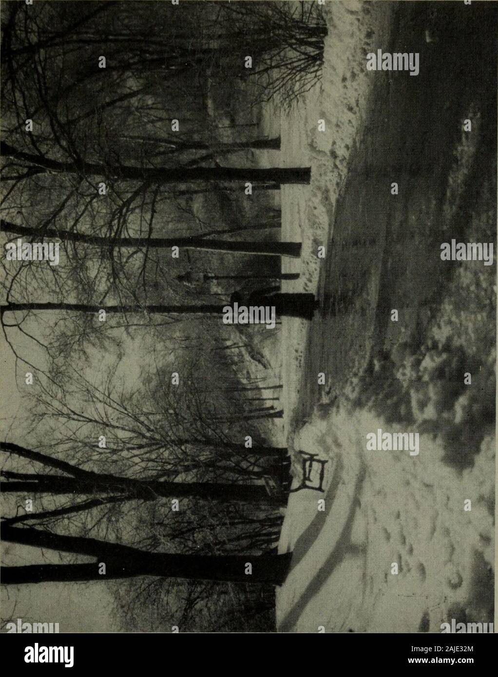 Die amerikanische Jährliche der Fotografie. ncil - Radiergummi und ein scharfes Messer sind in den Lautspre- chern notwendig, eine konzentrierte Licht zu betonen, aber thesetools muss mit Diskretion oder die beschäftigt werden - Drucken kann bespoiled durch eine Ablenkung der Aufmerksamkeit auf viele Punkte. Auf Eggleston drucken Es ist nicht meine Absicht, zum Verweilen ein. Thatprocess ist eng mit der Öl- und hat bestimmte Vorteile ofconvenience über es, aber die einzelnen Schritte sind etwas lesspliable in Manipulation, und es nicht immer reagieren soreadily und mitfühlend an den Arbeitnehmer. Der Anfänger wird in der Regel enttäuscht werden zunächst eine withhis Stockfoto