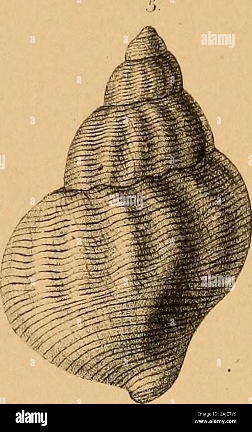 Reise in den äussersten Norden und Osten Sibiriens 5/6 der Jahre 1843 und 1844 mit Allerhöchster Genehmigung auf Veranstaltung der Kaiserlichen Akademie, Christian zu St. Petersburg ausgeführt und in Verbindung mit vielen Gelehrten. Stockfoto