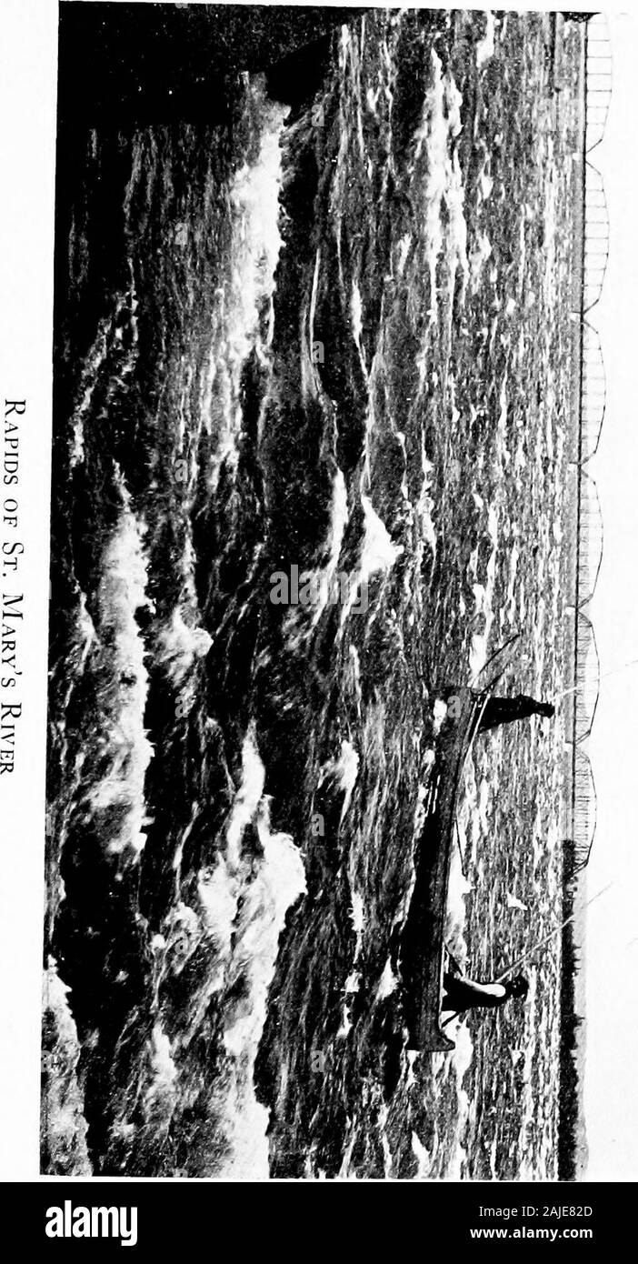 Die Indianerstämme des oberen Mississippi Valley und die Region der Großen Seen: Wie von Nicolas Perrot beschrieben, der Französische Kommandant im Nordwesten; Bacqueville de La Potherie, Französischen Königlichen Kommissar, Kanada; Morrell Marston, amerikanische Offizier in der Armee, und Thomas Forsyth, United States Agenten am Fort Armstrong. mes es schwierig ist, sie genau zu identifizieren. Auf theauthority von Crawford Lindsay und C. Hart Merriam (Ende Leiter der US-Bio-logische Umfrage), habe ich mich regelmäßig Cerf als Elk {Cervus canadensis oder C. Wapiti übersetzt; auch Wapiti genannt); Elan wie Elche (C alces Alces ameri- oder CANUS; Stockfoto