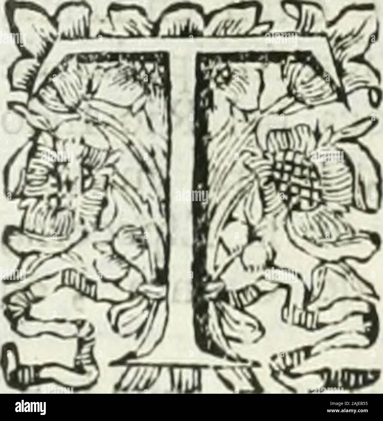 Historia general de los hechos de Los Castellanos en las Islas ich Tierra firme del Mar Oceano. esenmedio, ich Abajo: Ich que Quanto mascnroedio Ella vna coíiij Tanto mas Abajo: con que queda acabada k quellion delos Antipodas, que negaron los Antiguo,?, por Lola la Dificultad, é hallaron impoiibilidad, Que, en el otroMar poderle navegar de la India Oriental, ni Elle de lasIndias Occiderítales, como lintieron Par-. ticularmcnte Cicercín, Pomponio Mc-de (j^° ein? Ich Plinio, que Dice, que los Maresron, Mich - 1^^ atajan La Tierra, nos quitan de lala, ich PJI - Tierra bewohnbaren la Mitad por Medio, nío. por Stockfoto