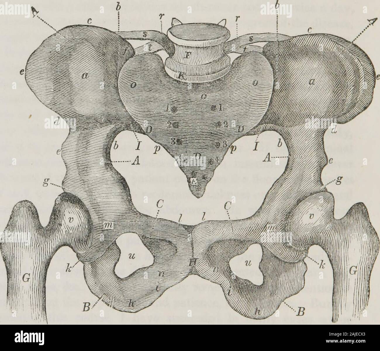 Ein einfaches System der ärztlichen Praxis, abgestimmt auf die Verwendung von Familien. e Bauch. Er wurde dann, withoutwiping, in einem trockenen Decke eingehüllt, und im Bett. Sobald asder Verbesserung der Puls- und andere Symptome, die oft in einer halben Stunde, ich der Prozess wiederholt, und Con-tinued der Kurs bis zum Delirium, Stupor, beheizten Haut, harte andquick Puls, &c., dauerhaft entfernt wurden. Besondere Aufmerksamkeit tomaintaining den Eindruck, und Geduld, sind Voraussetzung. Aber bypursuing dieser Kurs, ich habe in vielen Fällen gelungen wheremedicine völlig versagt hatte. Injektionen von kalten oder warmen Wat Stockfoto