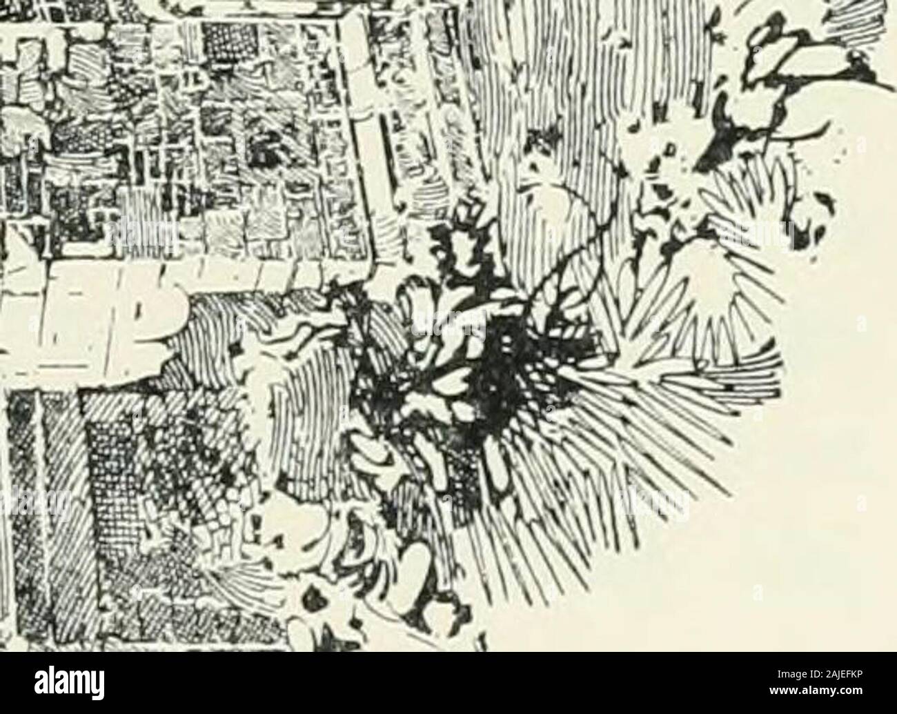 Cambridge und seine Geschichte mit Lithographien und andere Illus von Herbert Railton, den Lithographien getönt von Fanny Railton. ) M4I). Ich."^?? Stockfoto