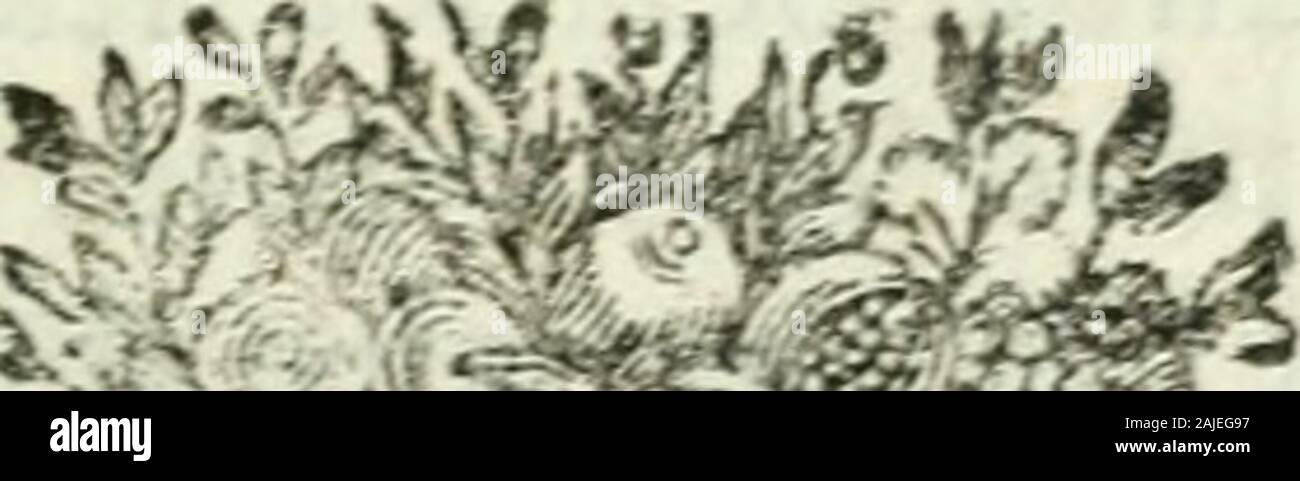 Élémens d'histoire Générale. t quele dépendoit couronnement de Lui; du * il Agit comme fi La chofeeut été certaine; Auto il erlauben auxrois dAragon de fe faire facrer &: couronner à Saragoffe. Que fignifieune permifTion pareille? K y avoic Voilà ce que je trouve de Remar-rcS; qJable dans lhiftoire dEfpagne juf-e "Ifpigne. ques au treizième fiècle. Elle ne felie Punkt encore avec Les affairesgénérales. Tout efl: divifé. Les Mau-res ont perdu beaucoup de Gelände; Mais il y a Cinq chrétiens royaumes, Léon, Caftillê, Navarra, Aragon.^ IV. É P O Q U E ÏIÎ. Portugal;&ces Petits royaumes, fujets Stockfoto