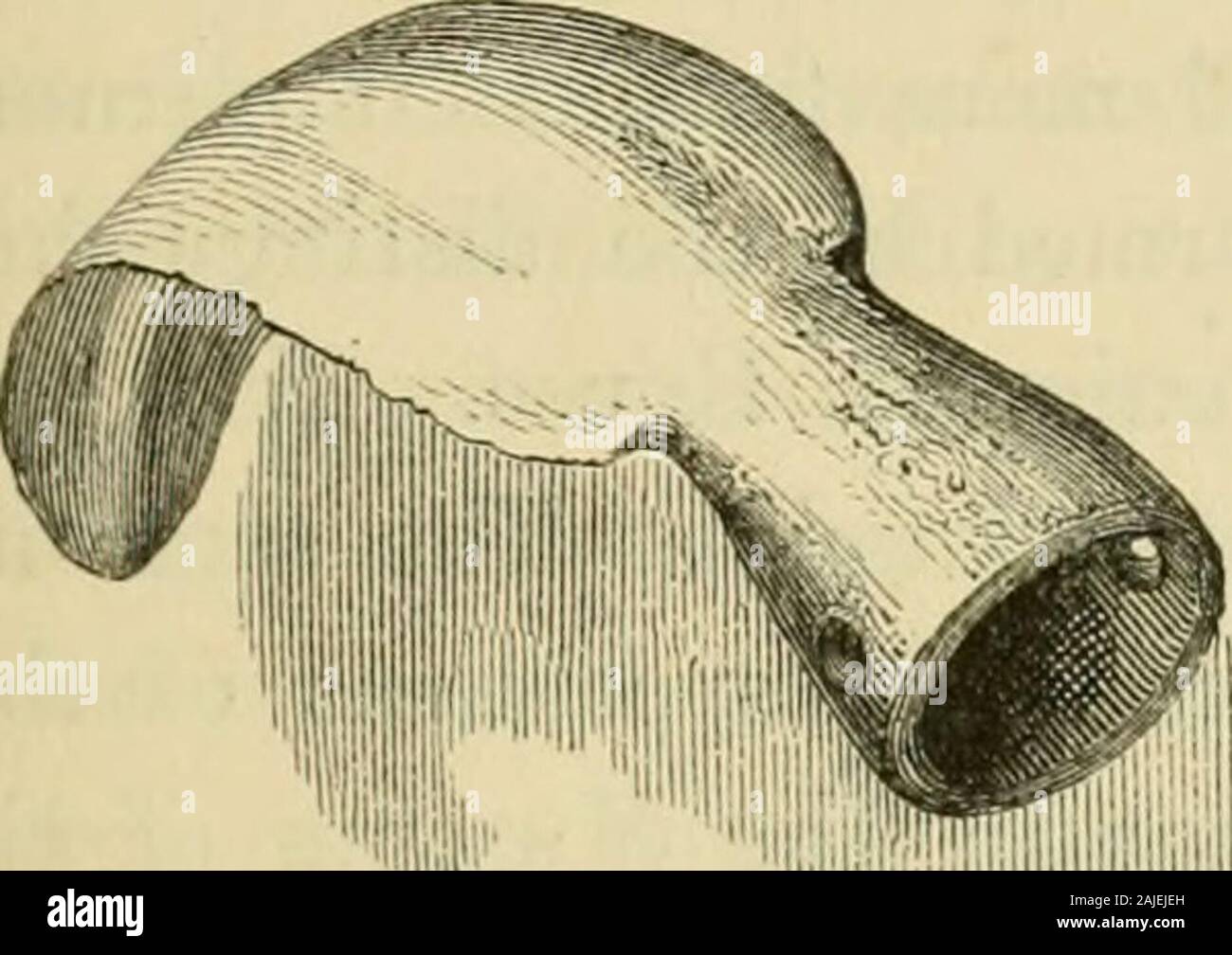 Die Archäologie und prähistorische Geschichte von Schottland. ecific Zweck für die Arbeitsgeräte, der auf einen Zeitabschnitt der Künste andhabits, also im wesentlichen von unseren eigenen unterschieden haben muss. Eine weitere Klasse von Bronze implementiert in Irland nicht ungewöhnlich, andoccasionally unter denen in Schottland entdeckt erwähnt, sind in der Regel als includeswhat Ernten oder Beschneidung-Haken. Eine von diesen, die in einer Tiefe von 1,80 m in einem in der nächsten bog-Haube von Ballygawley, Grafschaft Tyrone, jetzt in der BritishMuseum erhalten gefunden wurde, ist in der Archsoological Journal.^ Weitere engravedin Allgemeine Vallanceys Coll dar Stockfoto