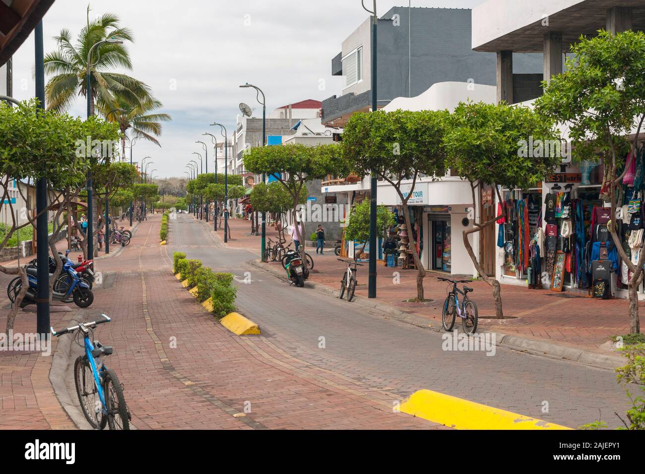 Puerto Ayora, Isla Santa Cruz, Galapagos, Ecuador. Stockfoto