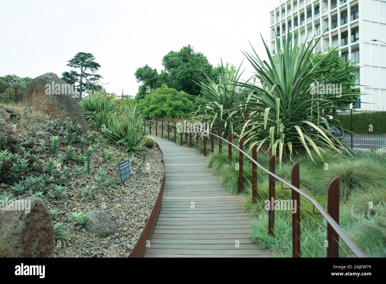 Die Königlichen Botanischen Gärten in Melbourne. Stockfoto